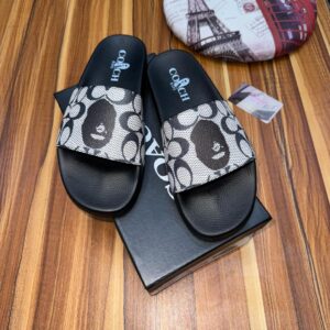 Coach Slides