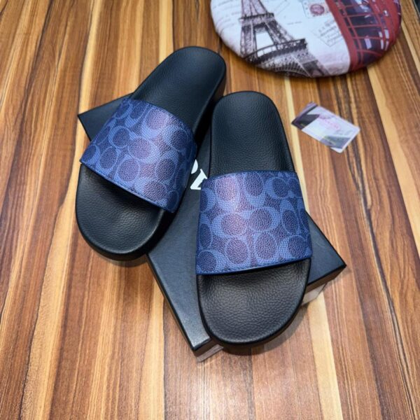 Coach Slides - Image 2